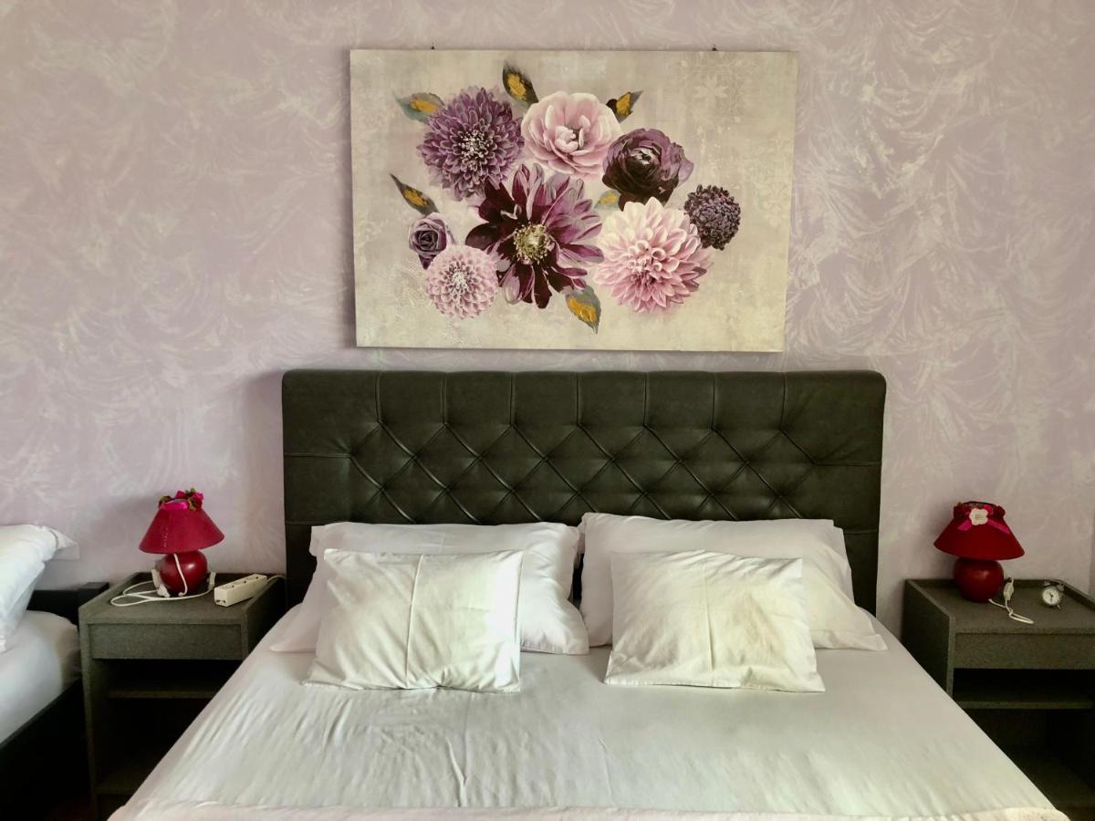 Apartments Pine & Oak With Shared Seasonal Hot Tub Privlaka  Zewnętrze zdjęcie